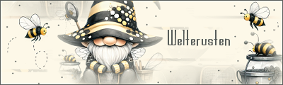 Wensjes Bee Gnome W…