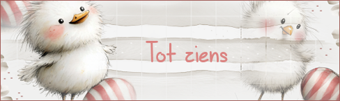 Tot ziens.png