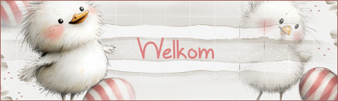 Welkom.png