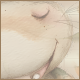 Avatar.png