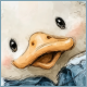 Avatar.png