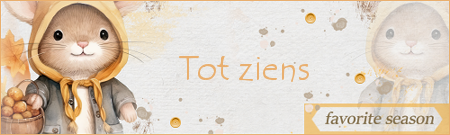 Tot ziens.png