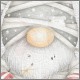 Avatar.png