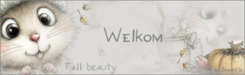 Welkom.png