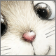 Avatar.png