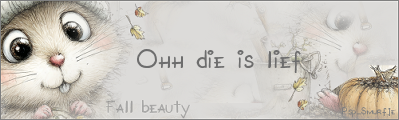 Wensjes Fall Beauty…
