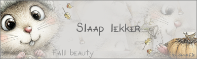 Wensjes Fall Beauty…