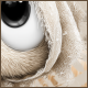 Avatar1.png