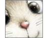 Avatar.png