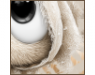 Avatar1.png